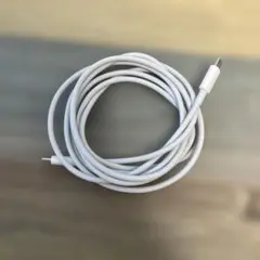 Apple MacBook USB-Cケーブル　純正