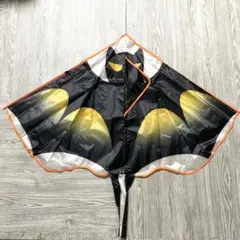 Item thumbnail for item 69fbd056-2697-4890-9d24-13a388e3d1bf