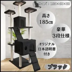 Item thumbnail for item 66fcd262-4b43-48fd-97cf-4d45c79e83ce