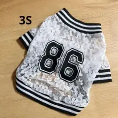 Item thumbnail for item dfae457d-a5c2-4822-9236-a1c98c38b0be