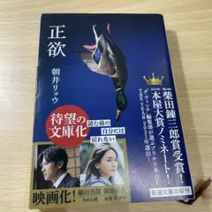 正欲