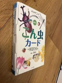 KUMON 知育カード　こん虫