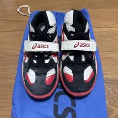 Item thumbnail for item e8d73267-ad84-4461-b939-6f635783d1a9