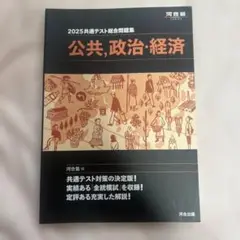 2025共通テスト総合問題集 公共・政治経済