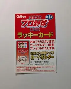 Calbee 2025プロ野球チップス ラッキーカード