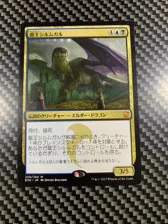 2025年最新】龍王シルムガルの人気アイテム - メルカリ