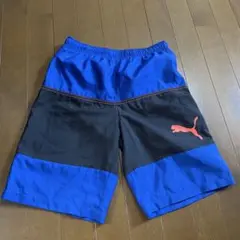 プーマ　150 新品未使用　サーフパンツ　水着