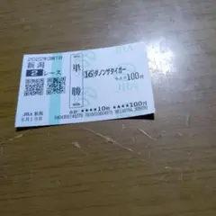 現地購入未勝利ダノンザタイガー