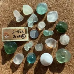 シーグラス おへそ ⑤