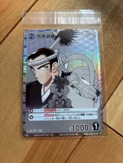 名探偵コナン 交錯する刃