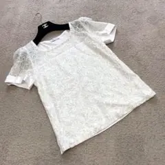 美品　オースチンリード　半袖Tシャツ　花柄レース　刺繍　ホワイト　40