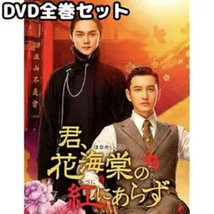 2025年最新】君、花海棠の紅にあらず dvdの人気アイテム - メルカリ