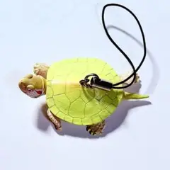 ネイチャーテクニカラーMONO ミドリガメ アルビノ ストラップ