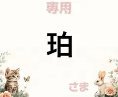 専用