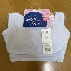 Item thumbnail for item 1575a154-4f75-4767-817c-0a9317bc9d92
