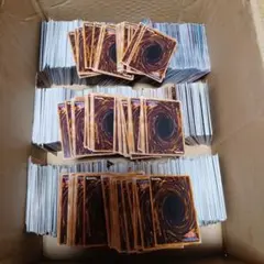 遊戯王のカードいっぱい