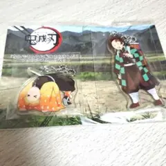 鬼滅の刃 炭治郎 善逸 チャーム