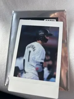 千葉ロッテマリーンズ　藤原恭大　まとめ売り