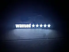 wanted ★★★★★ グラセフ ELプレート LED JDM USDM
