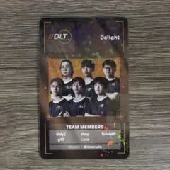 DeLight チームメンバーカード 2025