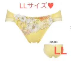 Item thumbnail for item 898c933f-935b-4319-9cba-242ede3a8dc0