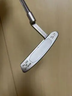 1998PGA Championship victory 153/271