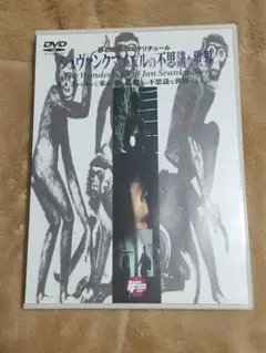 【再生確認済み】シュヴァンクマイエルの不思議な世界 DVD