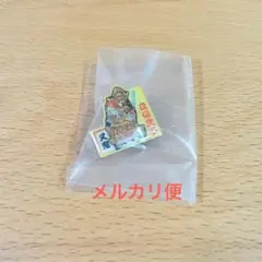 青森ピンズDX ご当地　限定　五所川原