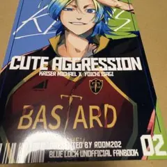 【匿名配送】ブルーロック　カイ潔　同人誌⑩