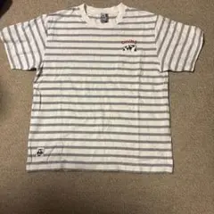 CHUMS ストライプ Tシャツ Lサイズ