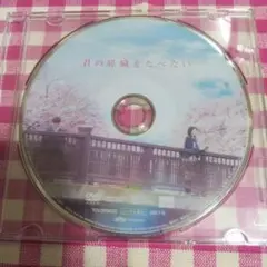 君の膵臓をたべたい DVD