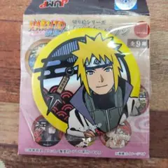 NARUTO ロック・リーバースデーブロマイドセット〜初回限定