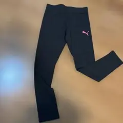 Item thumbnail for item 1594edd5-5052-4889-991a-a6318868f3c2