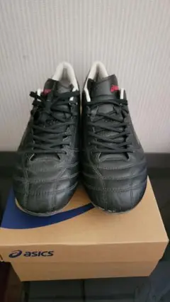 ASICS DSライト X-Fly 4 26.5cm