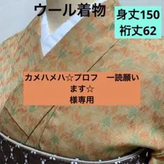 ウール着物 ㉙優しいオレンジ✖️グリーン