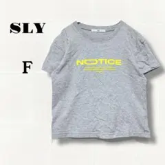 スライ プリント　 Tシャツ　F グレー　レディース　カットソー　コットン100