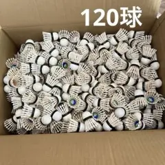 カット済みシャトル