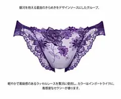 WACOAL ワコール❤︎ サルート ノーマルショーツ✨Lサイズ