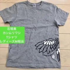 石垣島 カンムリワシ Tシャツ★M相当