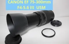 Item thumbnail for item 9f0125c9-df49-45ce-8787-fa8242e4d8b6