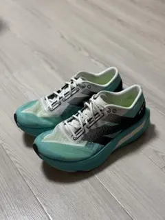 スパイク・シューズ FuelCell SC ELITE v4 New Balance FuelCell SuperComp Elite V4 Review - Cushioned