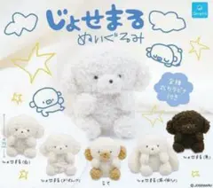 じょせまる ぬいぐるみ 全5種セット
