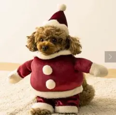 Item thumbnail for item 870a5c74-db29-423b-9670-57f043e1d3a5