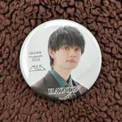 EBiDANmuseum 2025 M!LK 佐野勇斗 ランダム缶バッジ