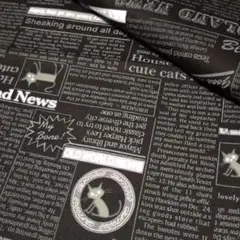 ✿Cat news<オックス>生地 布 はぎれ[黒]