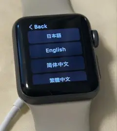 Apple Watch Series 3 スペースグレー+正規品ベルト+充電器