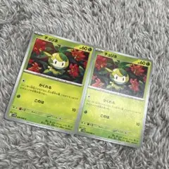 チュリネ ポケモンカード 2枚セット