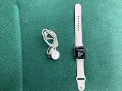 AppleWatch シリーズ5 アメリカ版　ステンレスケース