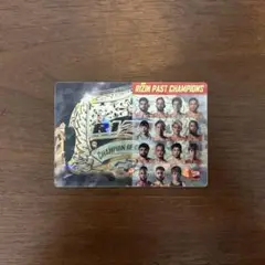RIZINポテトスティック　シークレット