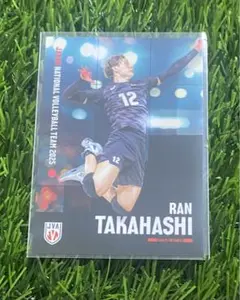 高橋藍 バレーボール男子日本代表2025